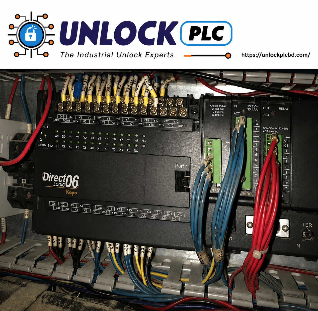 Koyo PLC Direct Logic Password Unlock free download-2